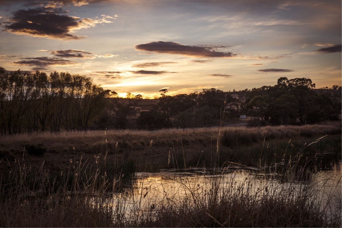 Spring at Elmsroe: A New Season Takes Shape